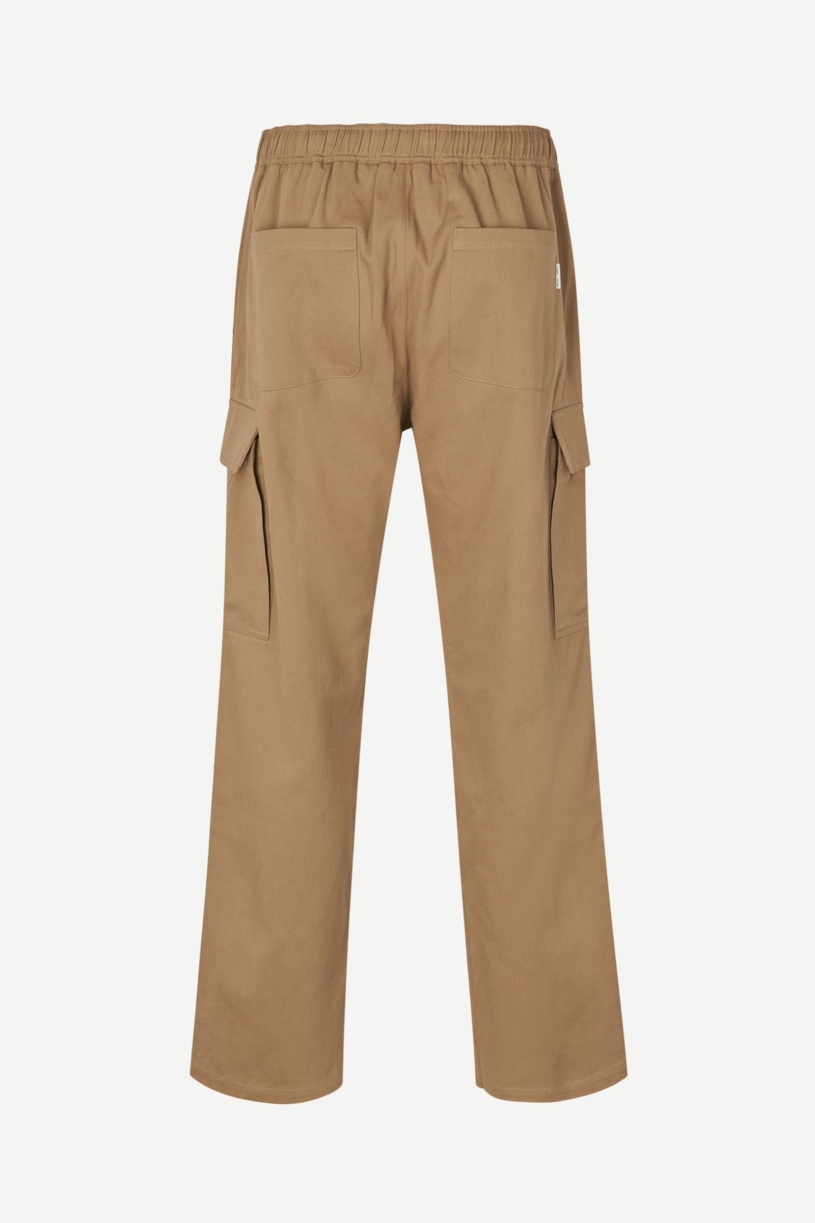 Cargo Pants Lizard – main story